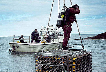 Там, под океаном