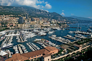 Под крылом принца